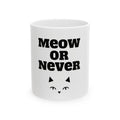 Meow or Never Ceramic Mug — Cat Lover Coffee Mug (11oz & 15oz)